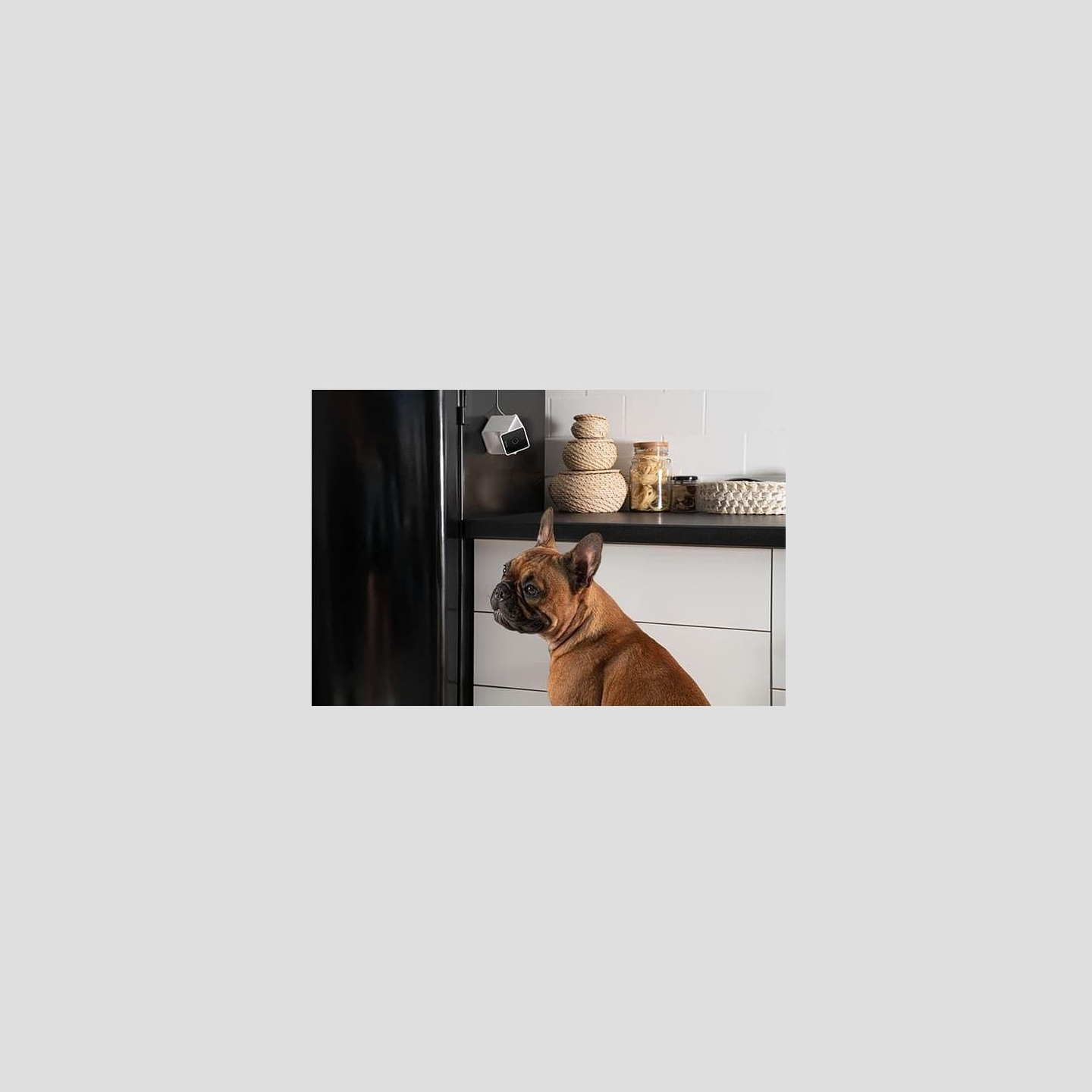 Petcube WRL CAMERA HD/CC10US PETCUBE