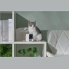 Petcube WRL CAMERA HD/CC10US PETCUBE