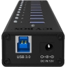 Raidsonic ICY BOX IB-AC6110 10x Port USB 3.0 Hub