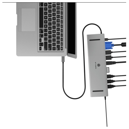 Raidsonic ICY BOX IB-DK2106a-CPD Docking Station