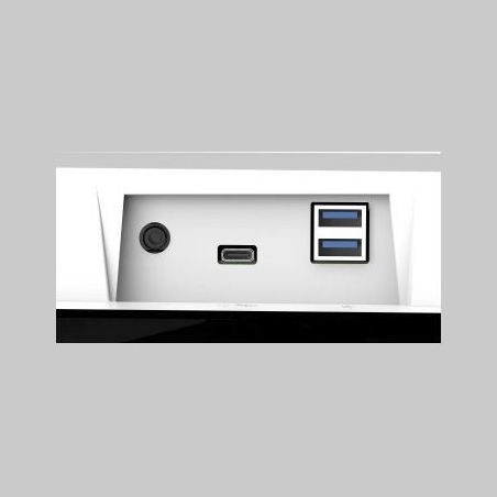 Eizo EV3450X 34.1" IPS 16:9 2440X1440 CURVED USB-C/94W RJ45 CAM (WHITE)