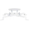 Multibrackets MB PROJECTOR CEILINGMOUNT I