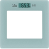 Jata 290P Silver