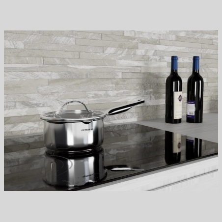 Pensofal 1612 Single-handle Saucepan With Glass Lid Milk Boiler - New Era 16cm