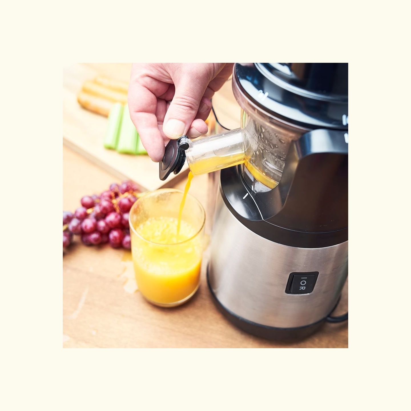 Gastroback 40145 Slow Juicer Advanced Vital