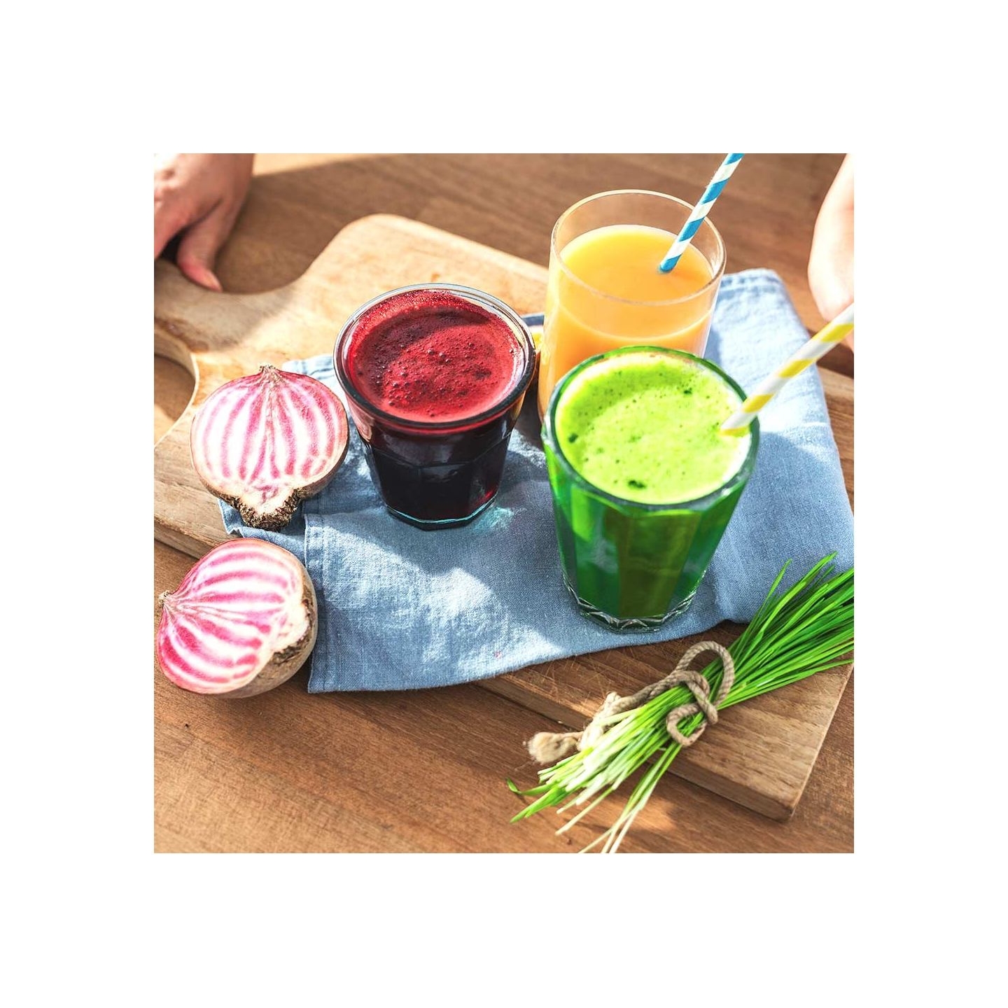 Gastroback 40145 Slow Juicer Advanced Vital