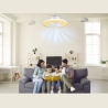 Beper P206VEN650