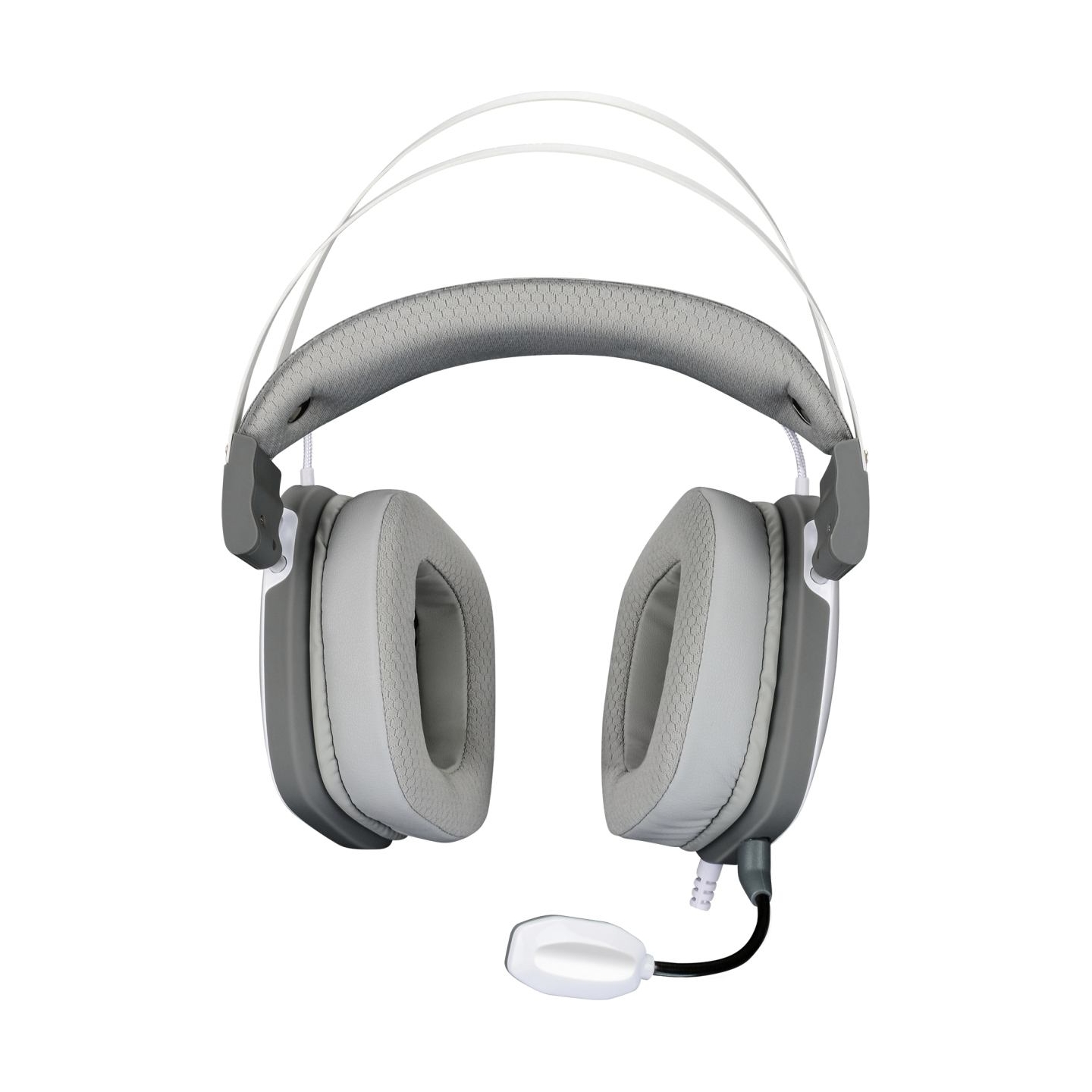 White Shark GH-2446 Gottan White