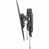 Sbox PLB-6546T (37-80/70kg/600x400)