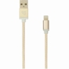 Sbox USB 2.0 8 Pin IPH7-G gold