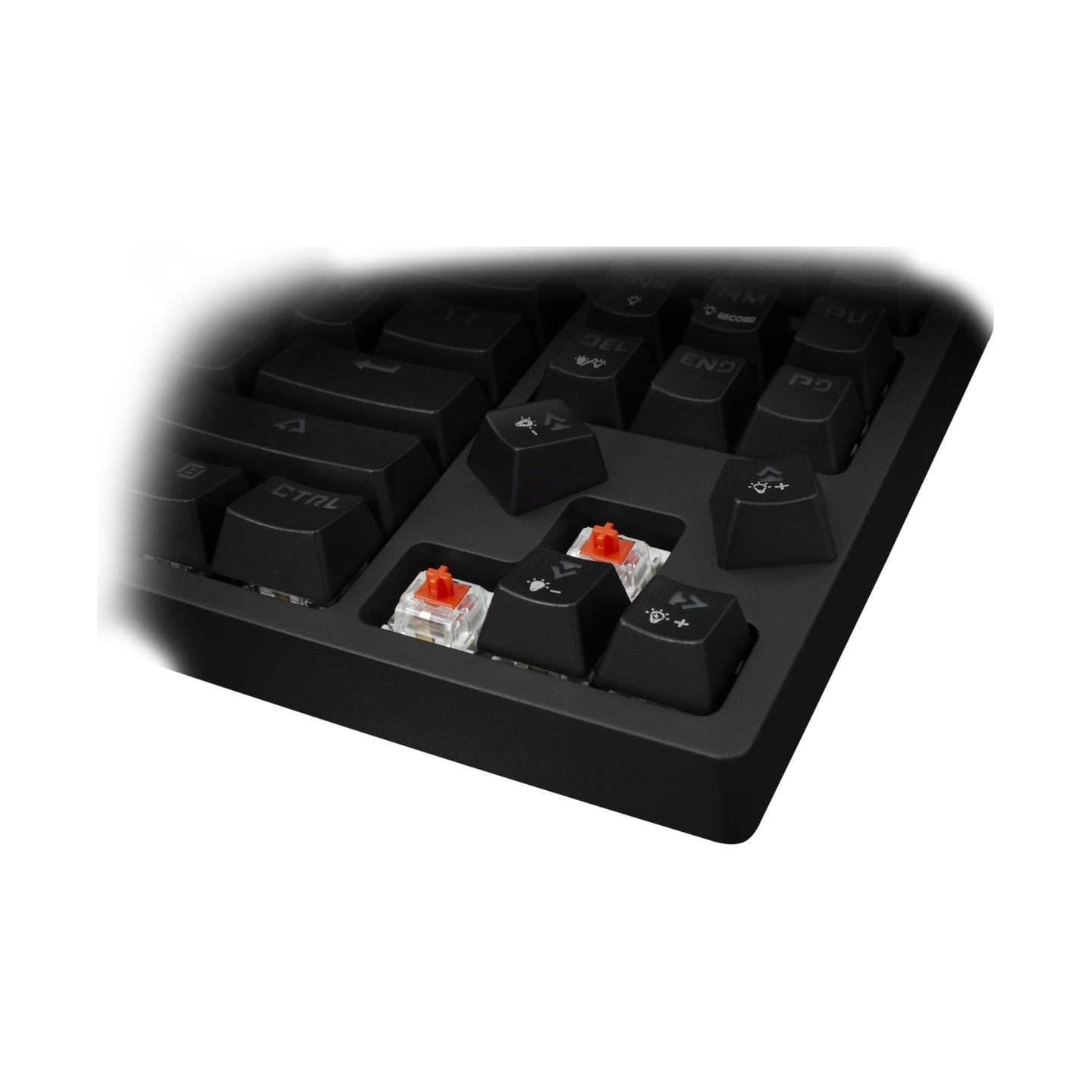 White Shark Premium Line Gaming Keyboard Kodachi ESL-K1