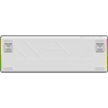 White Shark EXCALIBUR M GK-009251 White US