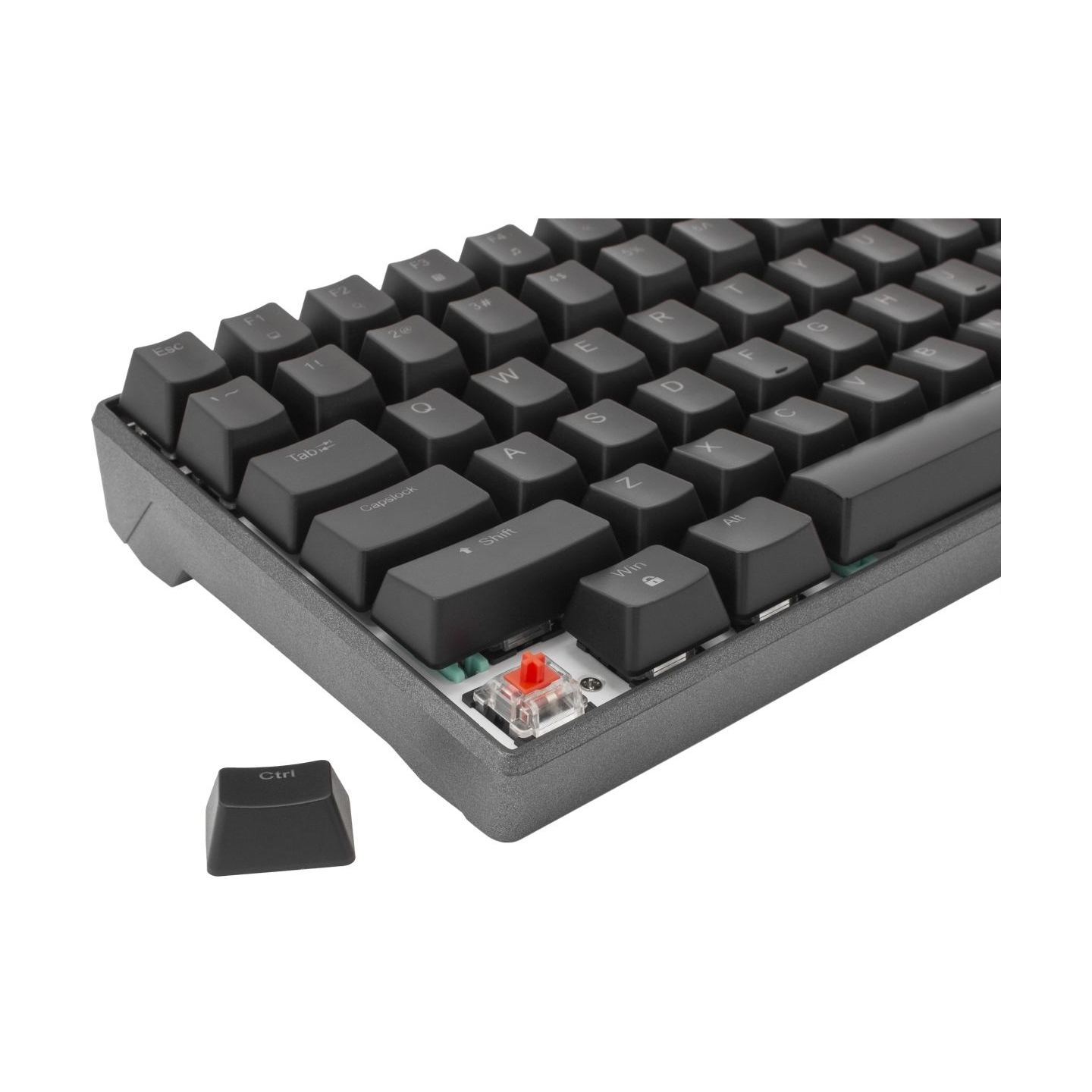 White Shark ESL-K2 Premium Line  Katana US