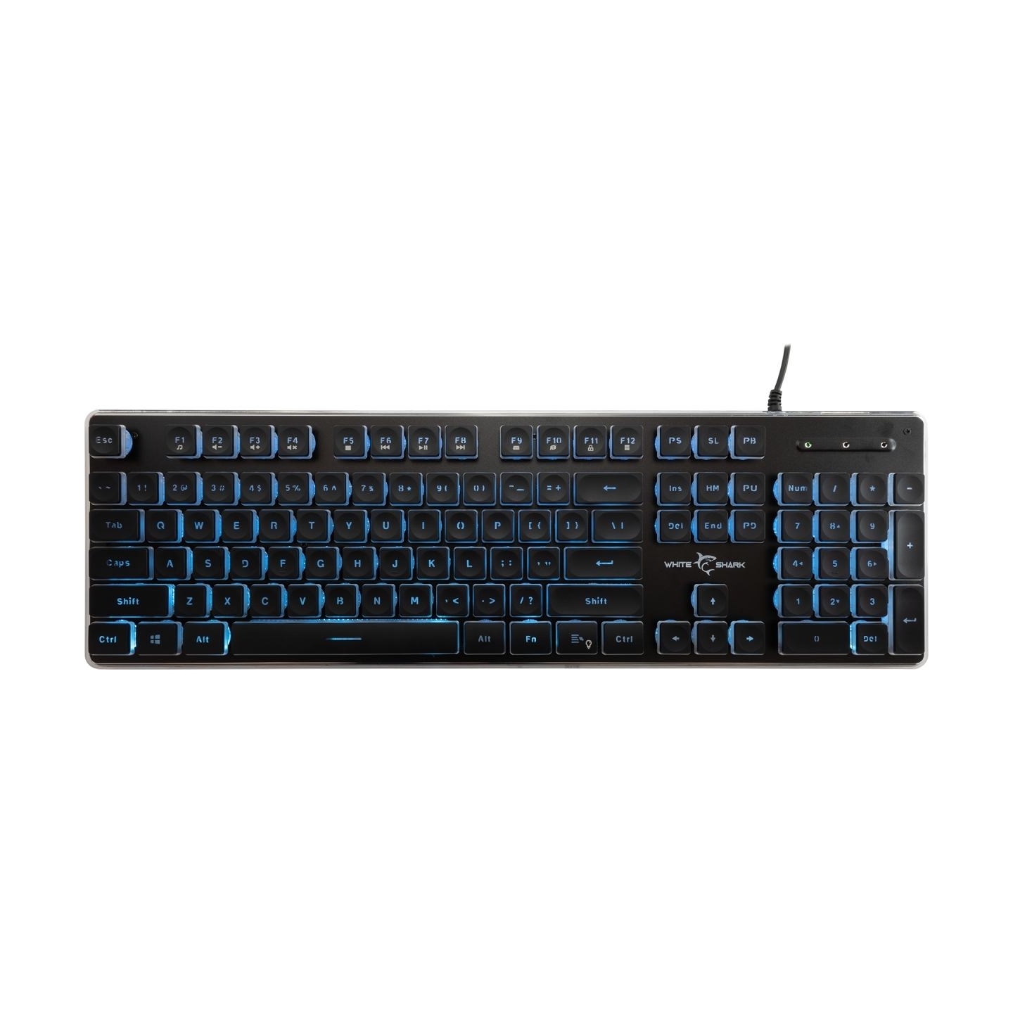 White Shark GK-003141 Tachi Black US