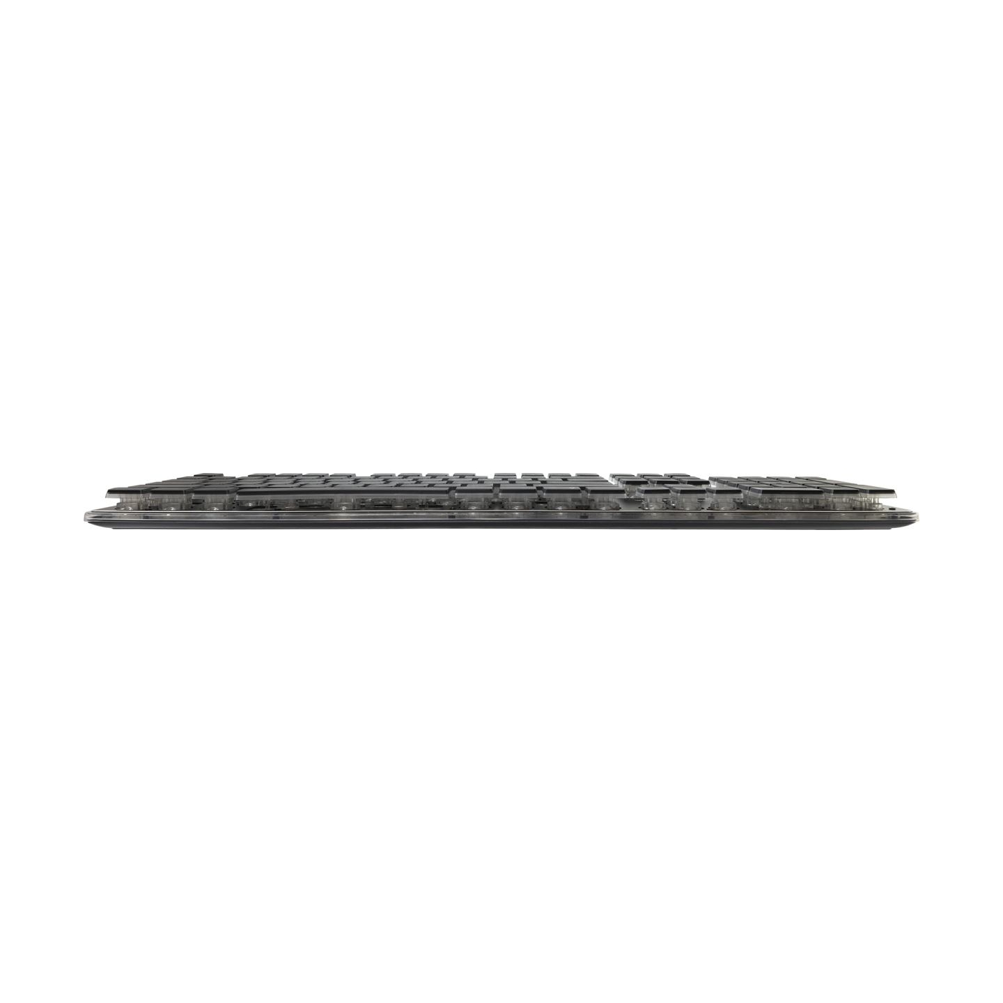 White Shark GK-003141 Tachi Black US