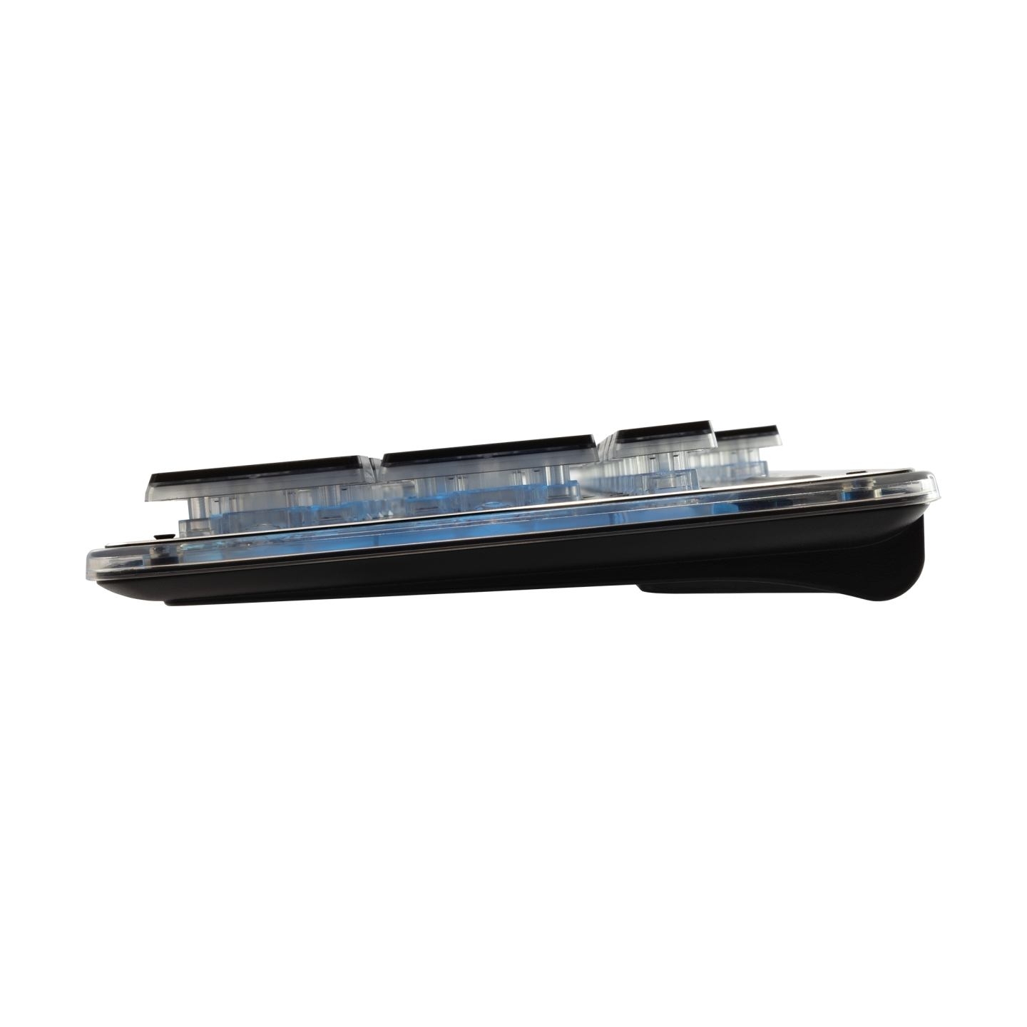 White Shark GK-003141 Tachi Black US