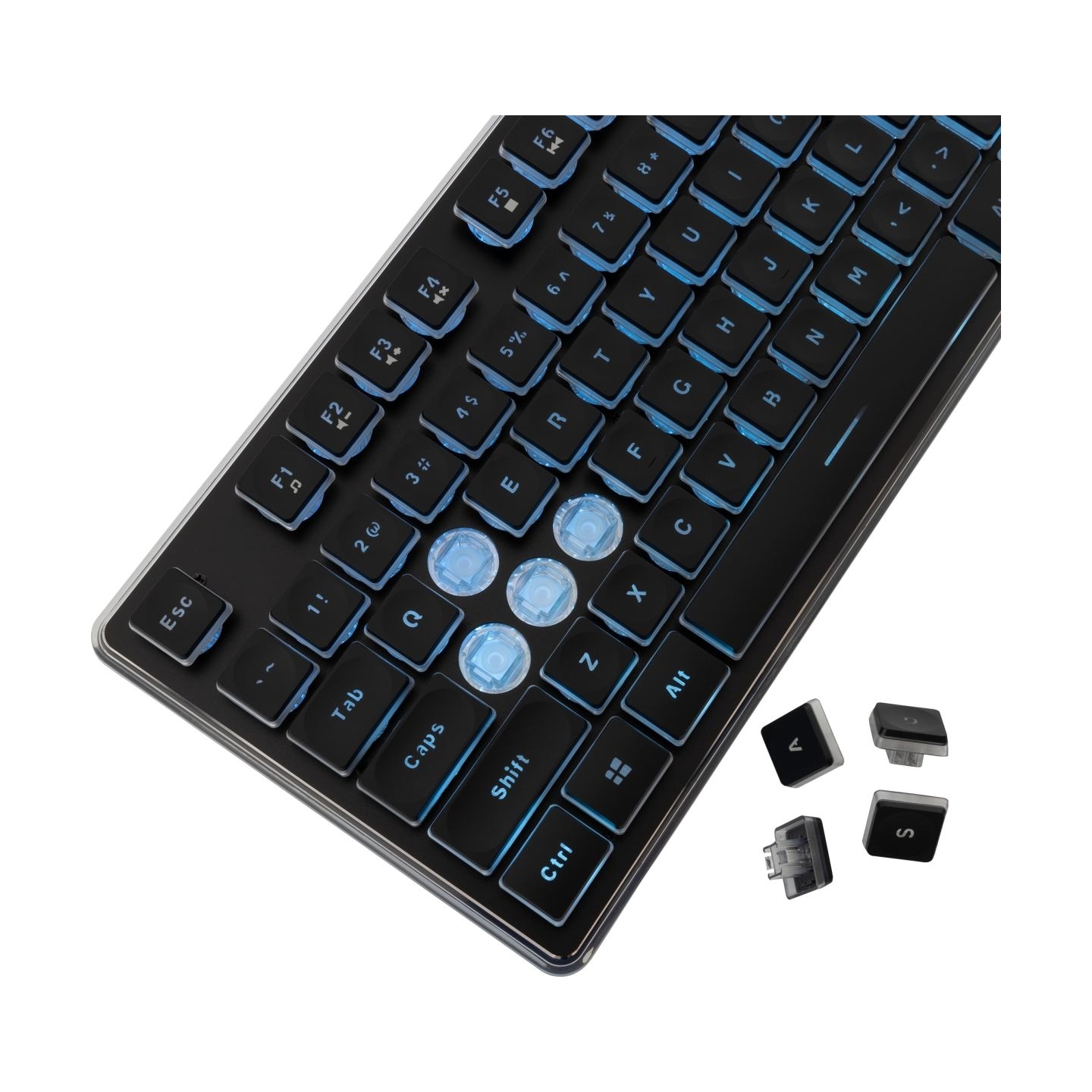White Shark GK-003141 Tachi Black US