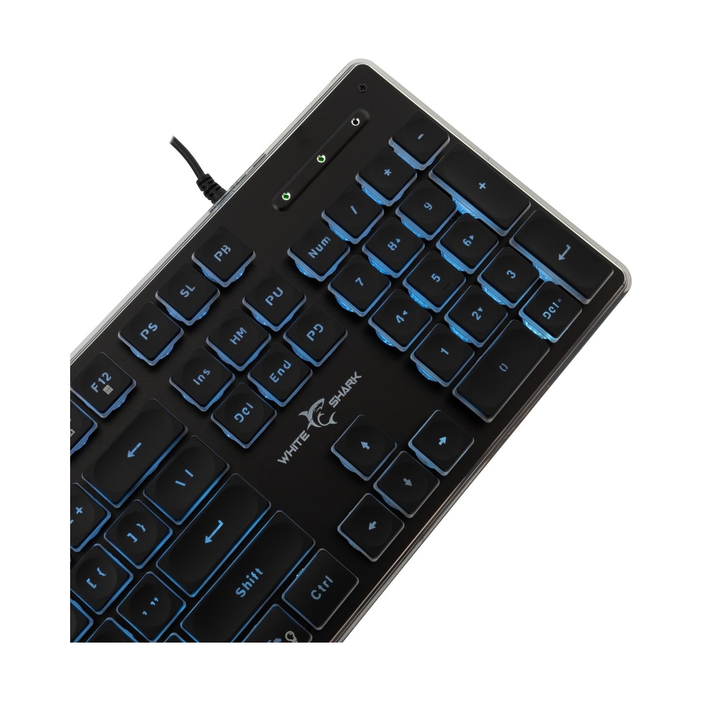 White Shark GK-003141 Tachi Black US