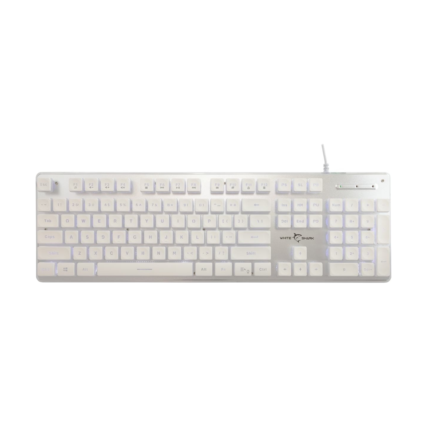 White Shark GK-003241 Tachi White US