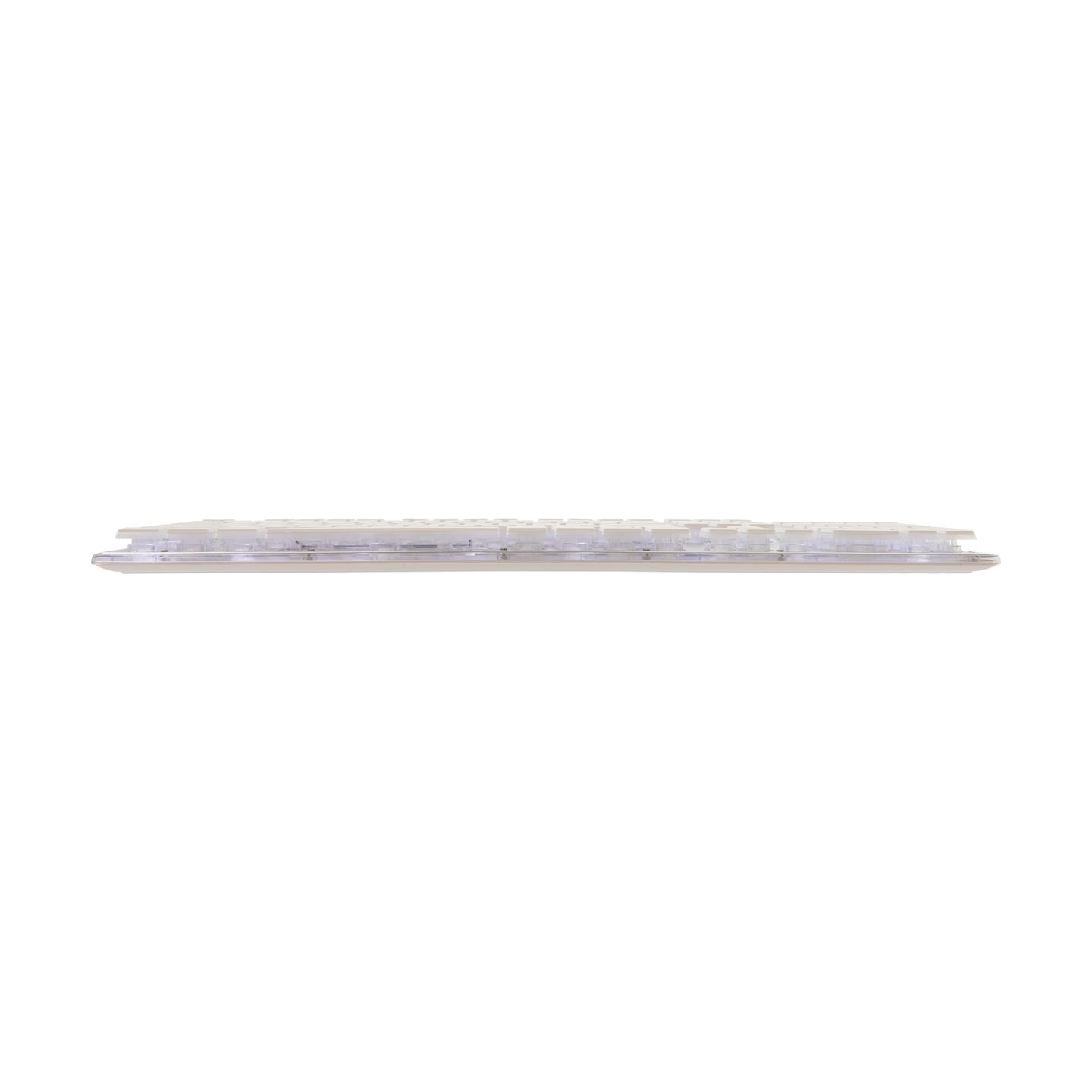 White Shark GK-003241 Tachi White US