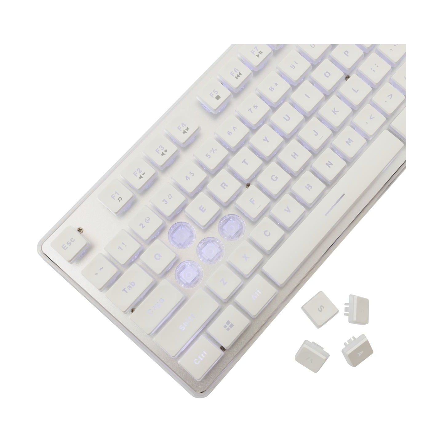 White Shark GK-003241 Tachi White US