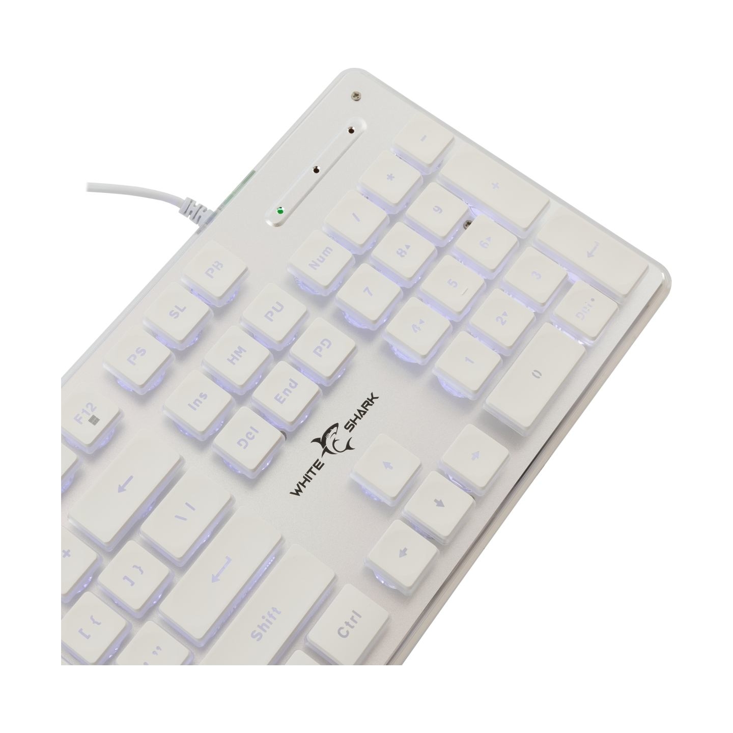 White Shark GK-003241 Tachi White US
