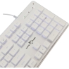 White Shark GK-003241 Tachi White US