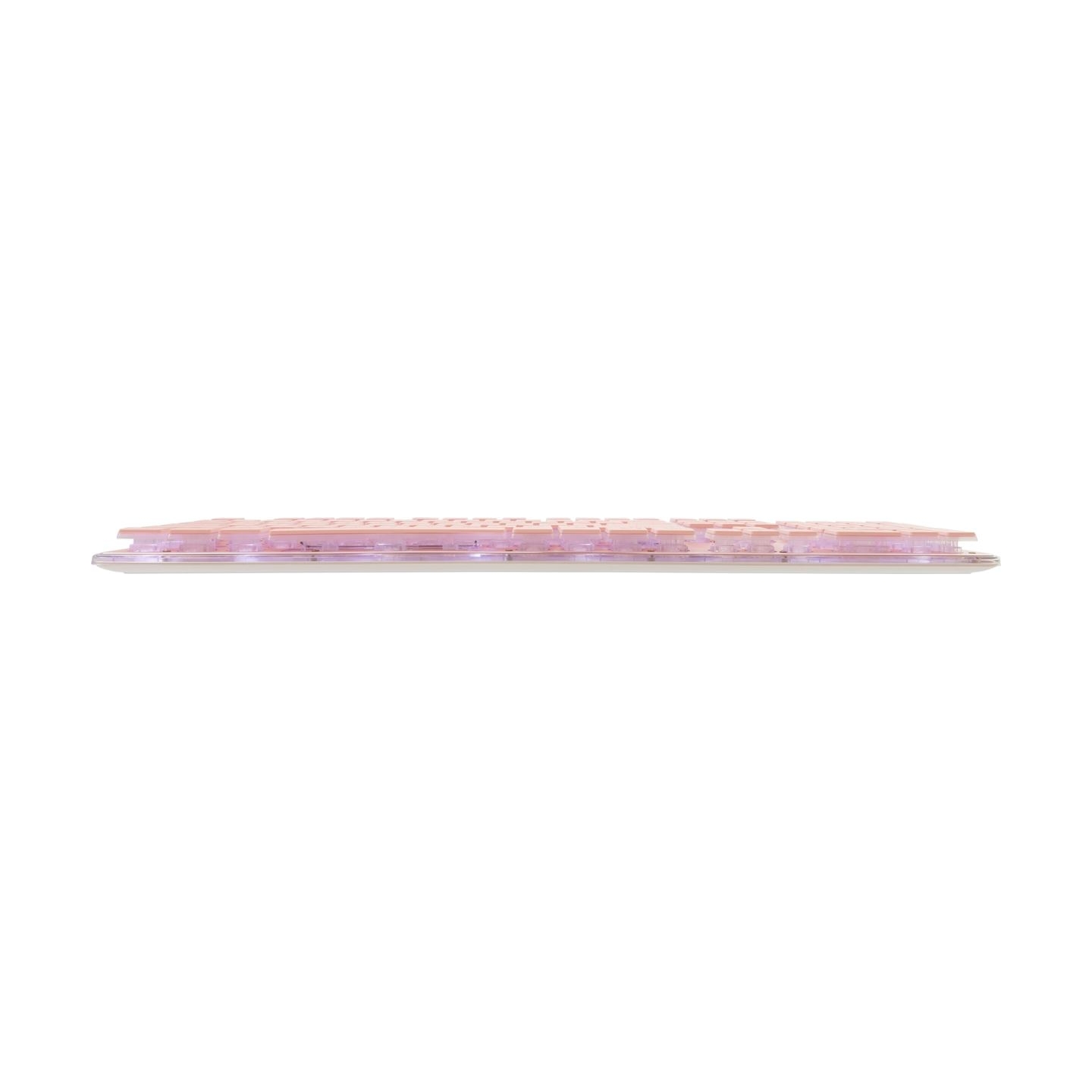 White Shark GK-003441 Tachi Pink US