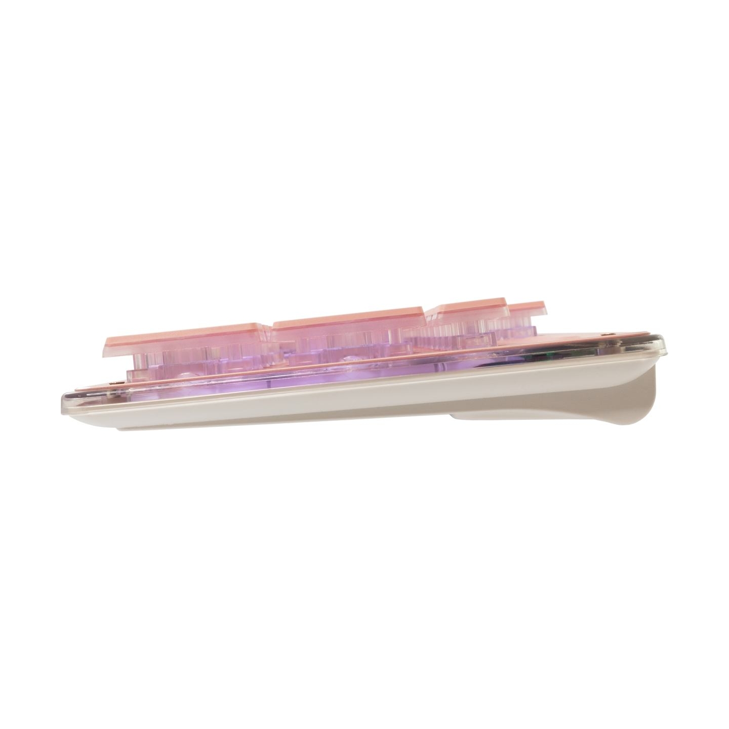 White Shark GK-003441 Tachi Pink US