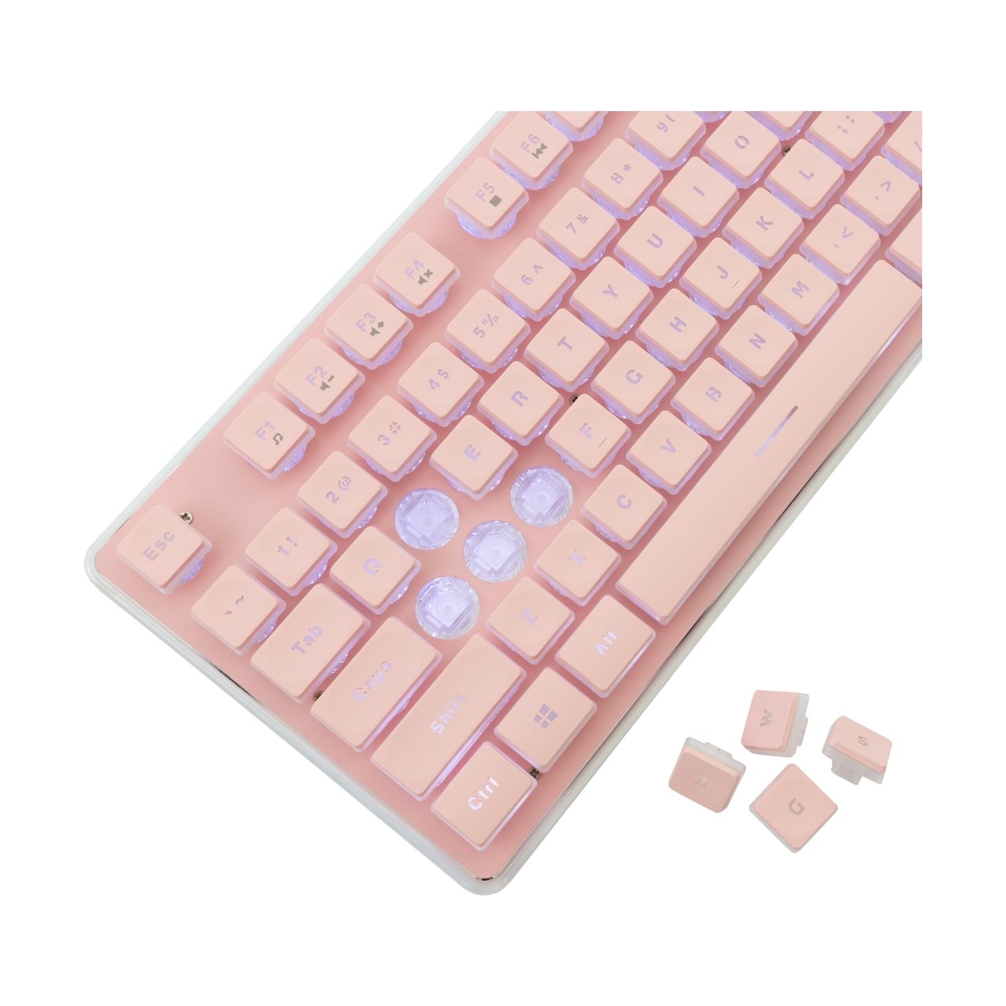 White Shark GK-003441 Tachi Pink US