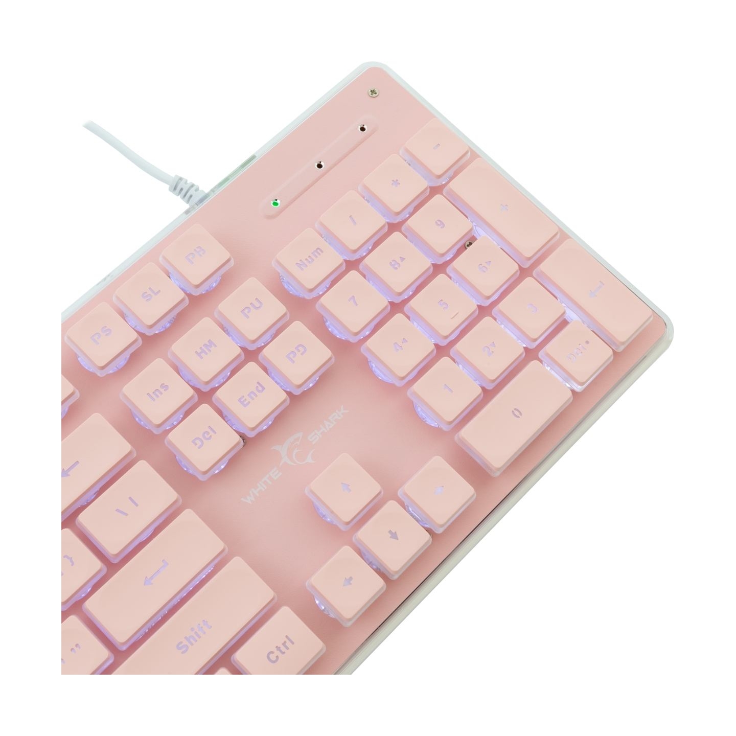 White Shark GK-003441 Tachi Pink US