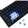 White Shark GK-005121 Hamachi Mechanical RGB / US - Blue SW.