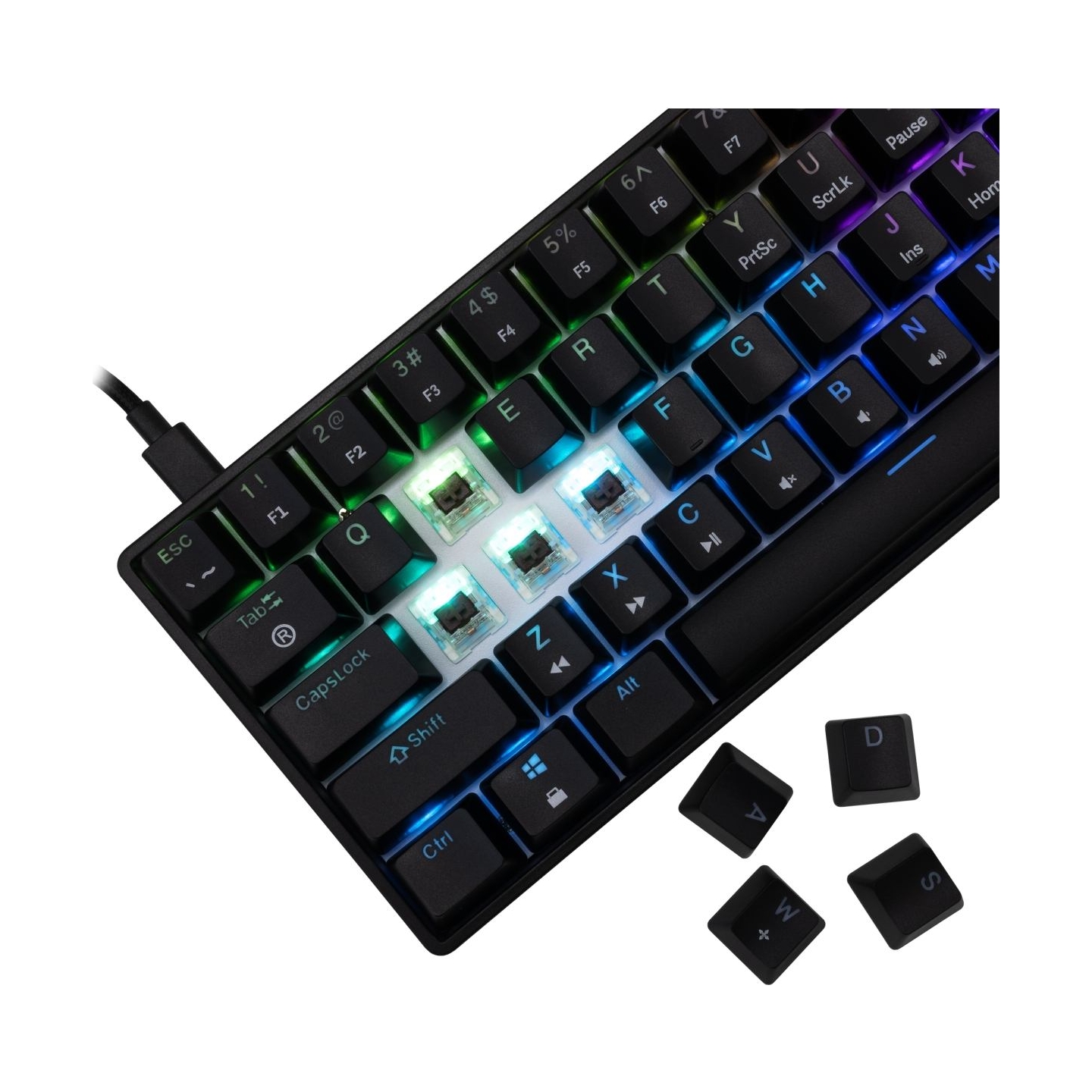 White Shark GK-004131 Shinobi 2 Brown switch, Black US