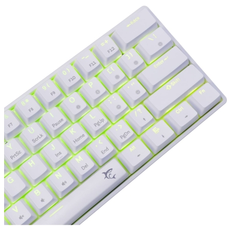 White Shark GK-004221 Shinobi 2 Blue switch, White US