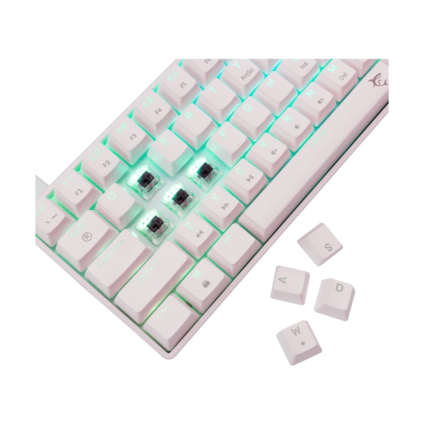 White Shark GK-004231 Shinobi 2 Brown Switch, White US