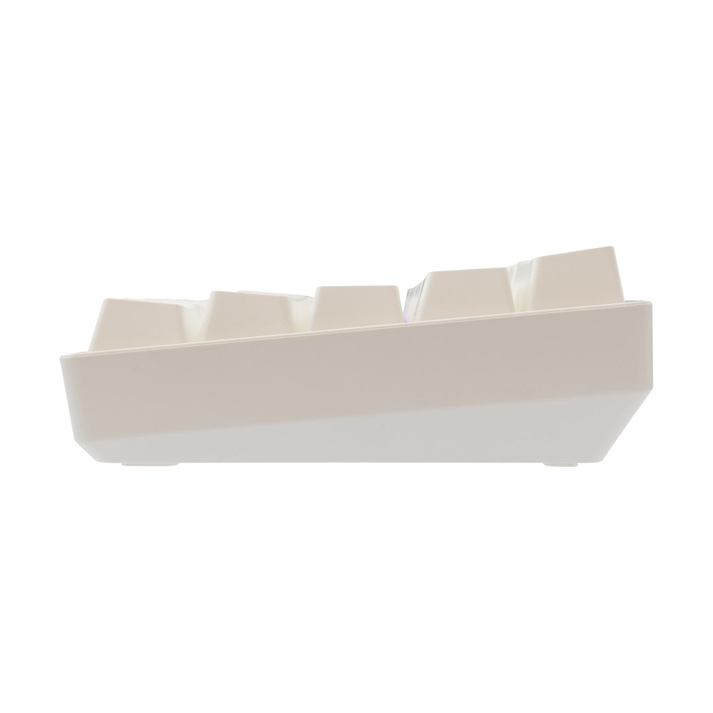 White Shark GK-004231 Shinobi 2 Brown Switch, White US
