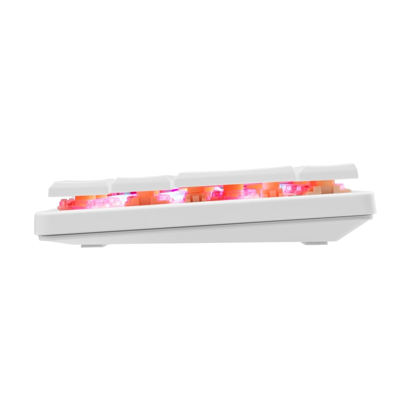 White Shark GK-006211 Nagamaki White-Mechanical-Red.SW