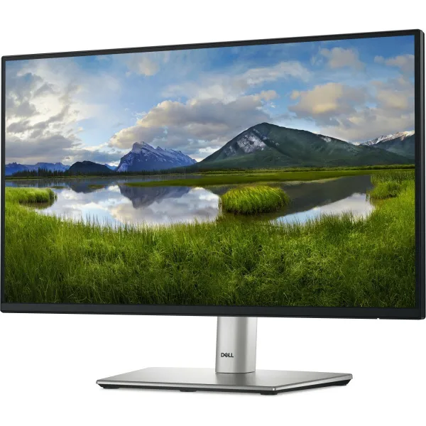 Dell 22 Monitor - P2225H, 54.6cm (21.5") / 210-BMHD
