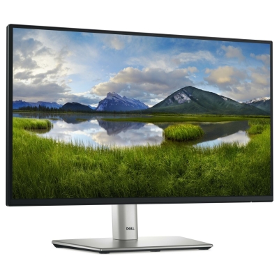 Dell 22 Monitor - P2225H, 54.6cm (21.5") / 210-BMHD