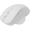 Sbox WM-549 White