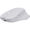 Sbox WM-308 White
