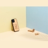 Man&Wood case for iPhone 12 mini cat with red fish