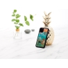 Ikins SmartPhone case iPhone 11 Pro sunrise black