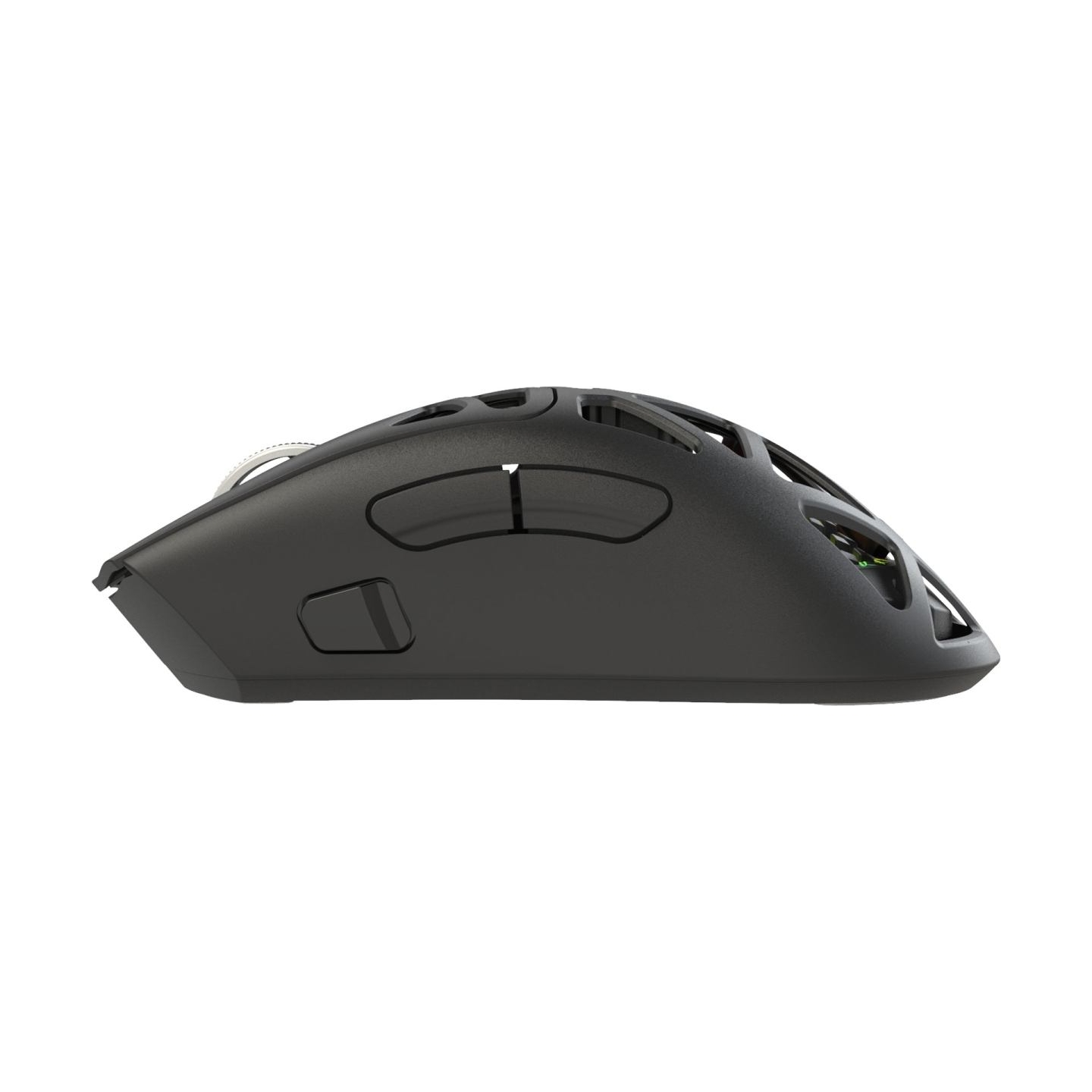 White Shark MORIEN WGM-5025 Black