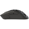 White Shark MORIEN WGM-5025 Black