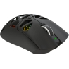 White Shark MORIEN WGM-5025 Black