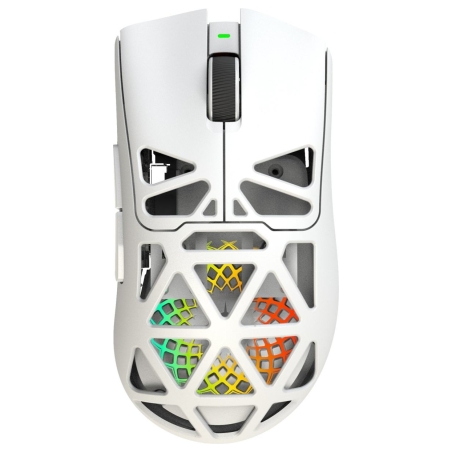 White Shark MORIEN WGM-5025  White