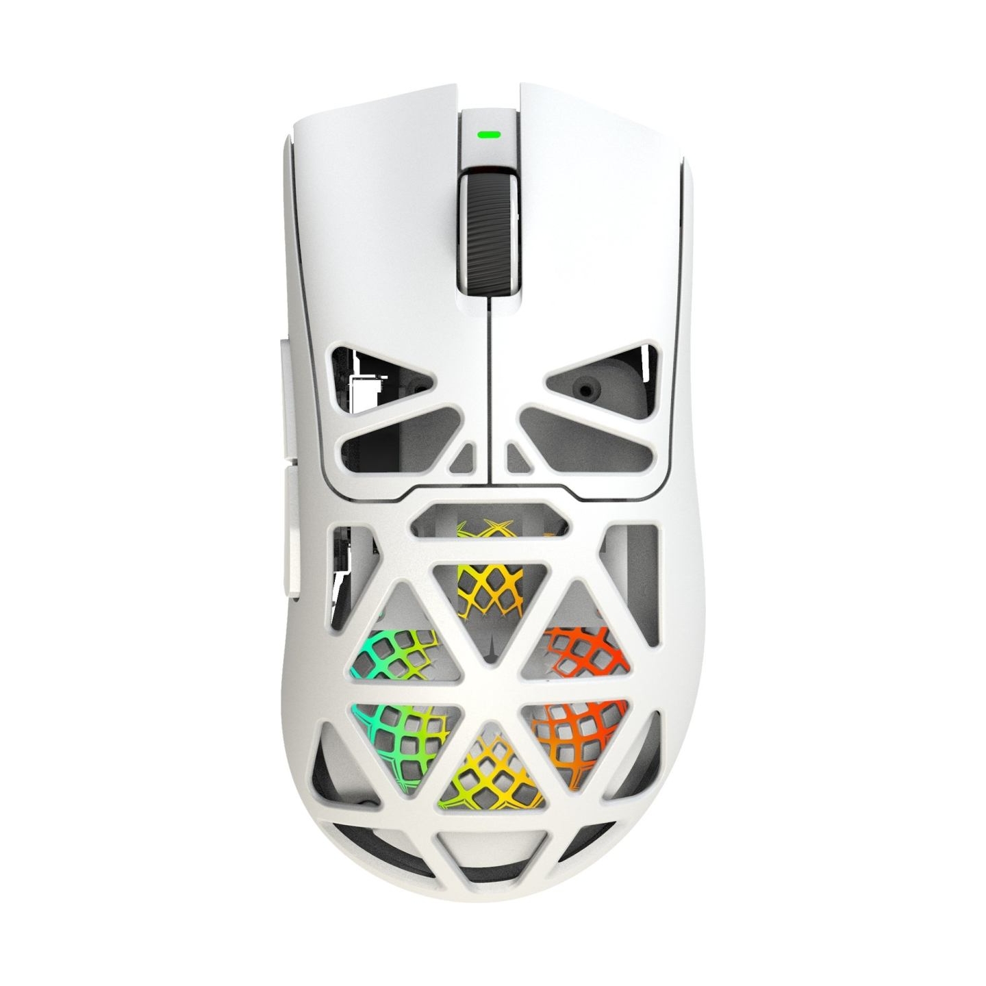 White Shark MORIEN WGM-5025  White