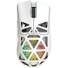 White Shark MORIEN WGM-5025  White