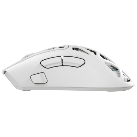 White Shark MORIEN WGM-5025  White